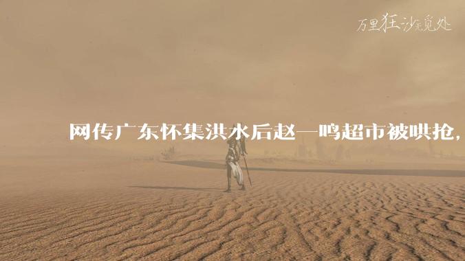 网传广东怀集洪水后赵一鸣超市被哄抢，县***回应相关单位正在核实，若属实哄抢者该承担哪些法律责任？